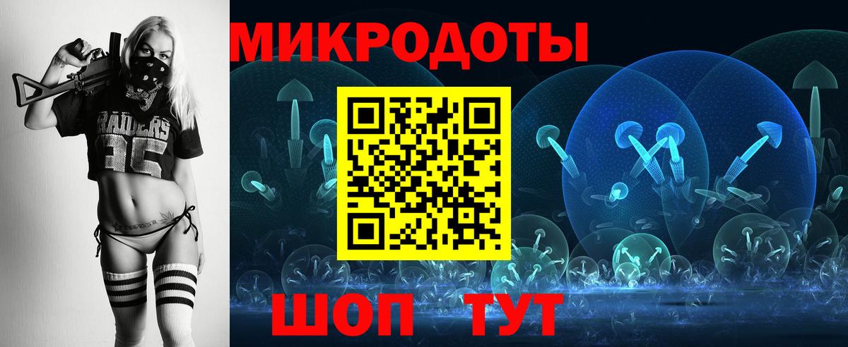 Галлюциногенные грибы Psilocybine cubensis Кемерово